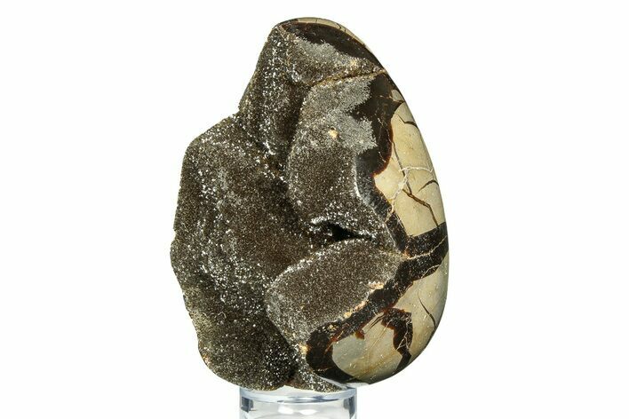 Septarian Dragon Egg Geode - Sparkly Black Crystals #308828